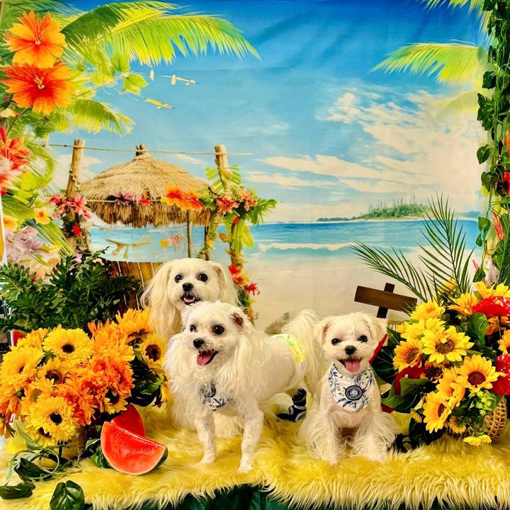 4038b126 551e 4aa8 a99a 605c4613f2be 1722692738605