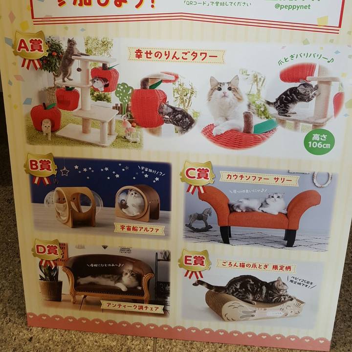 4038edb2 47d7 4dcd aeb2 1f9b27ce2c0d 1550371277516