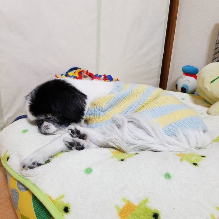 4038f853 79e5 4337 91f7 861d8ad85f99 1612093247827