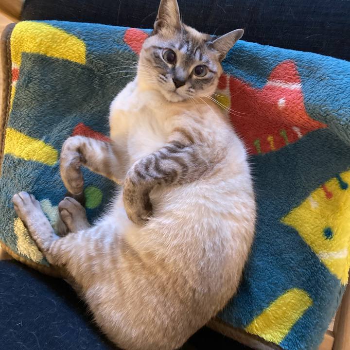 4039e4ea e958 4edb ad2c 00e861b8ad11 1615208686648