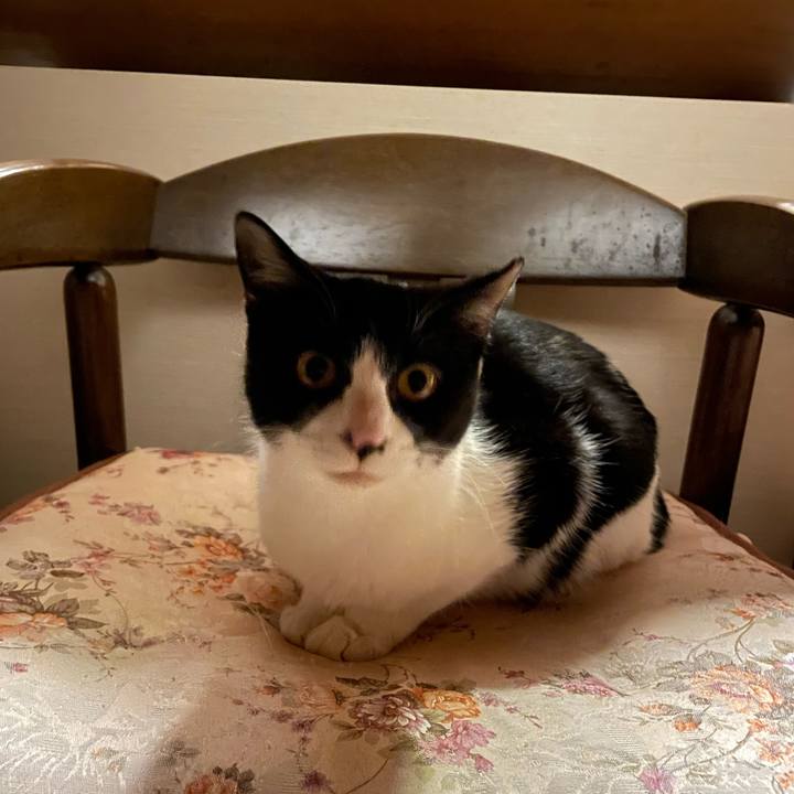 4039ea02 2230 46dc a9c1 6a2c0e78f8aa 1678630004749