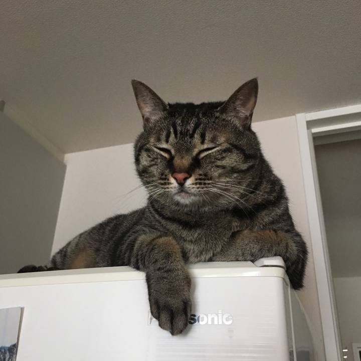 4039f310 cb90 448c ae6a 790950a94422 1592441025150