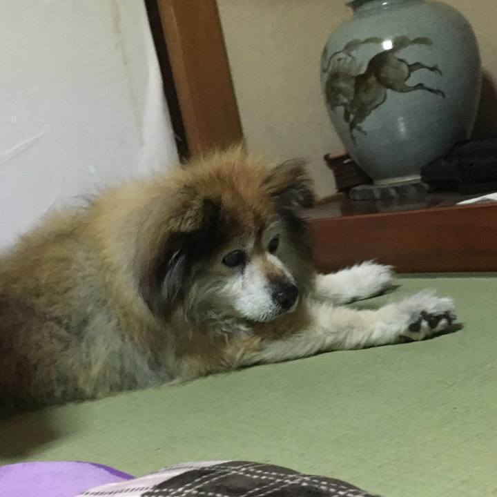 403a1b3e 61aa 442c 88a7 53edc1a24152 1577753529330