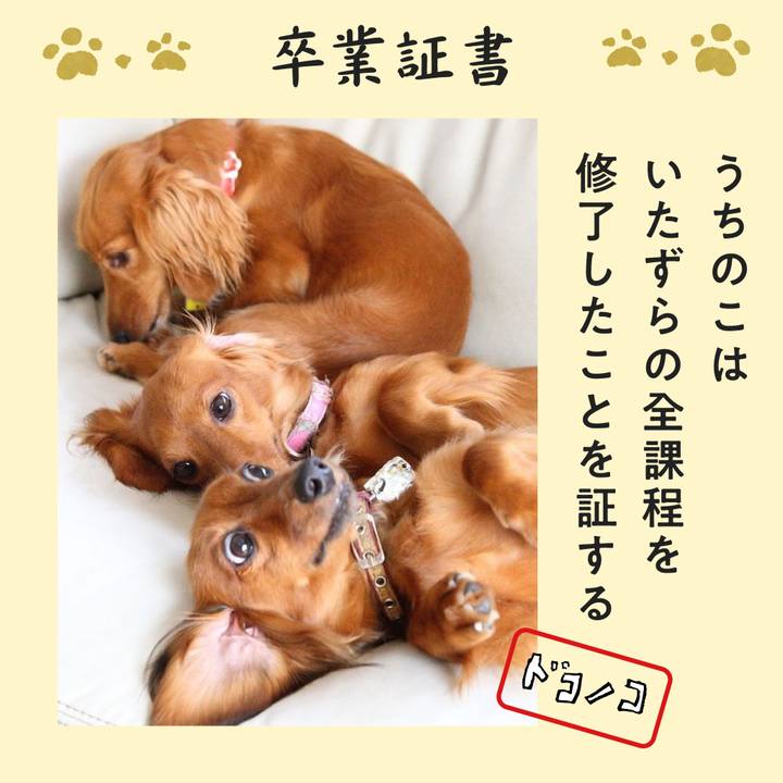 403a4bdb 7411 4219 962d 8bdd3d072843 1772461898013