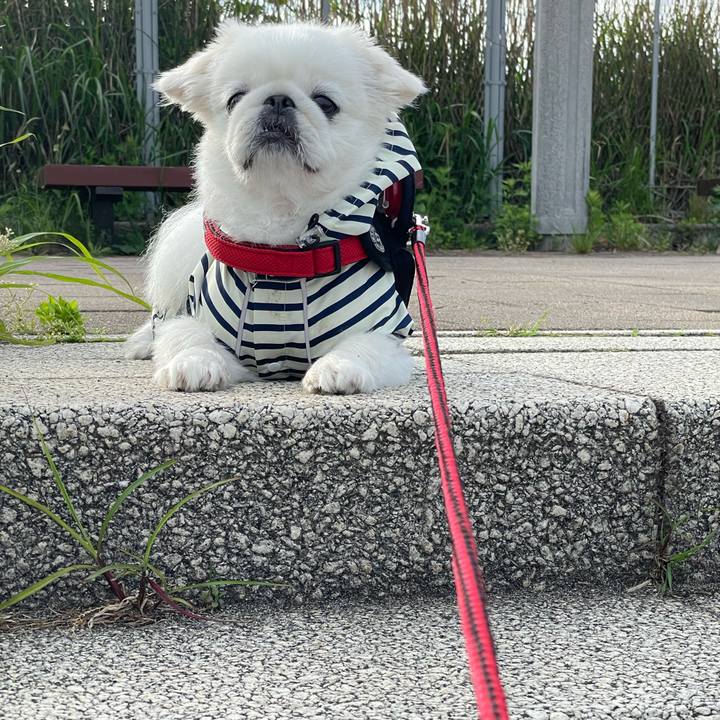 403a7999 8e7a 479c 8881 220acd750092 1715812127650