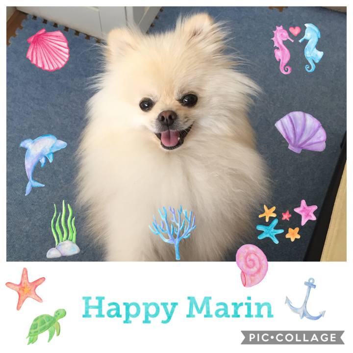 403a8900 fa91 4cf5 b583 c829a21930d3 1533827188082