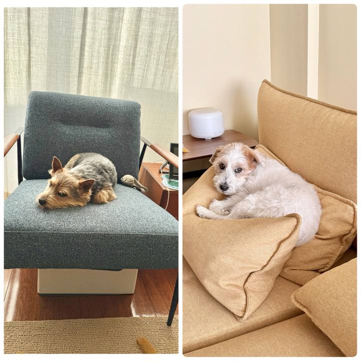 403a936b f0f9 4ebf b049 017d09fce45b 1769123800897