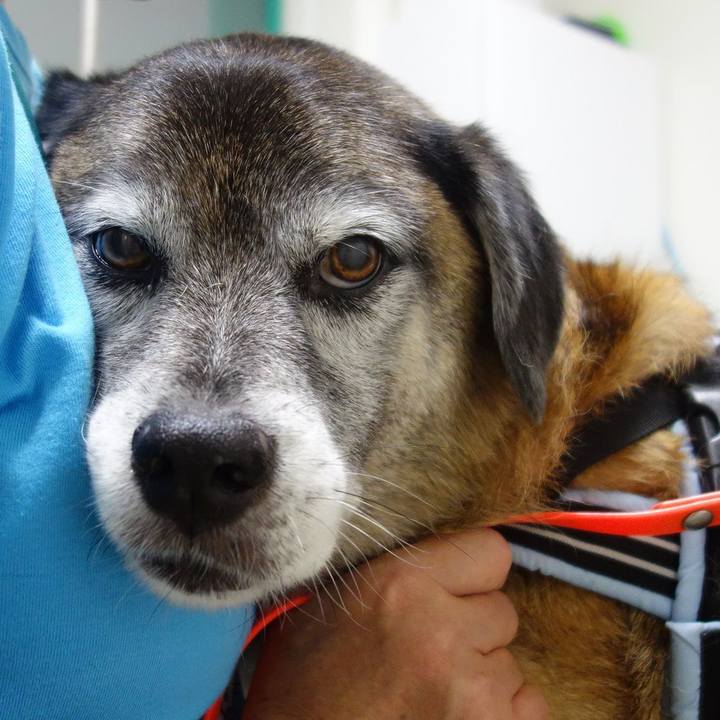 403ad8ba cc41 47a8 a18a e054dd3b800f 1569667418925