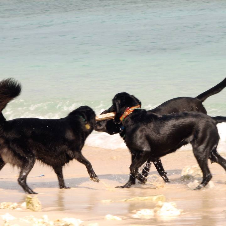 403ada0b 6824 4849 ad00 f473f2a16ac9 1509058949367