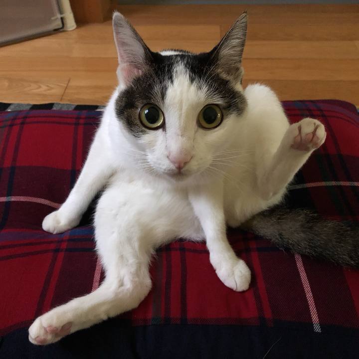 403adcd0 603e 4f80 aa9b 5bc0b8565de6 1631484227524