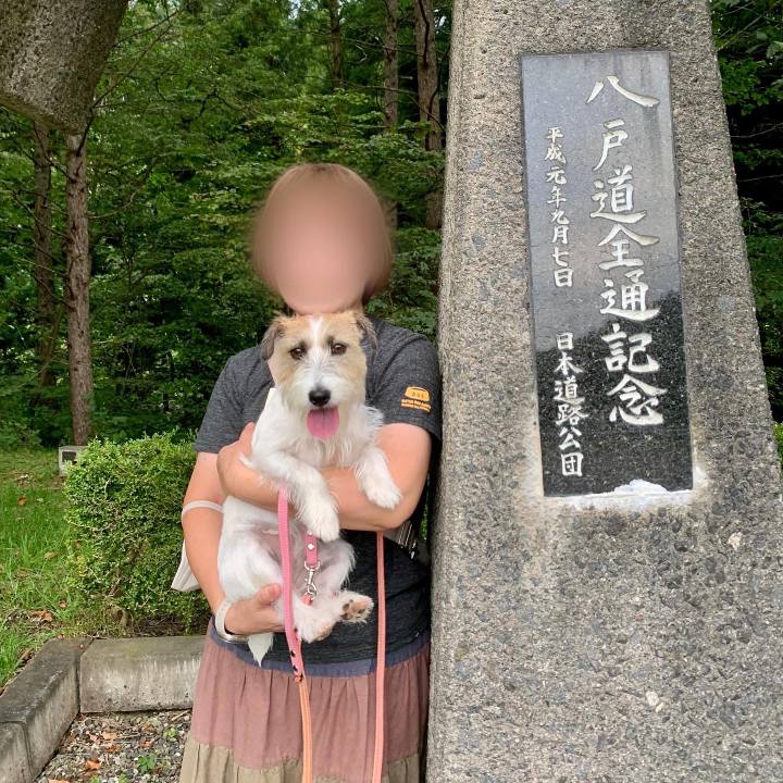 403af867 fcbb 460d a039 ab958f96f411 1662813435288