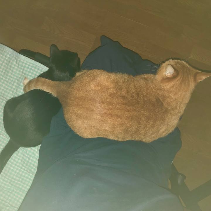 403b0044 f51a 4819 8609 386922d91a05 1727866502096