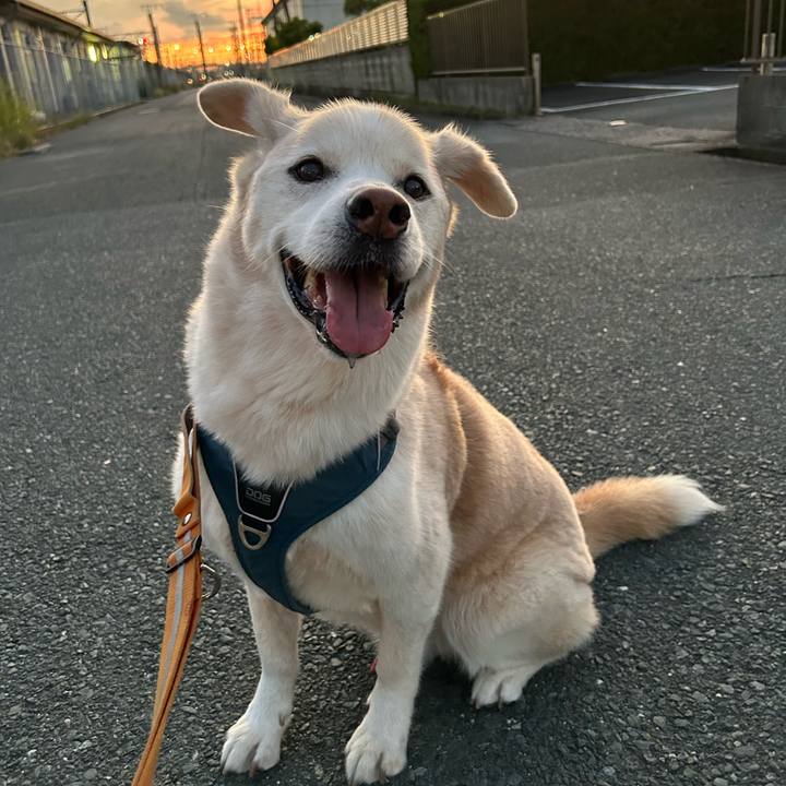 403b07bb a55f 440b acb5 d033e73b51b0 1728734997476