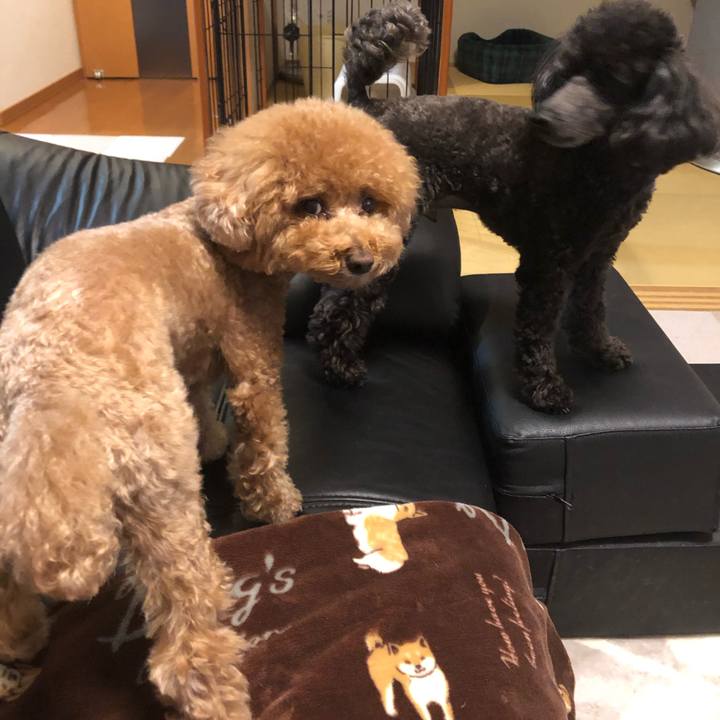 403b3716 2a30 466b a8f1 0c532b00827f 1587990423382