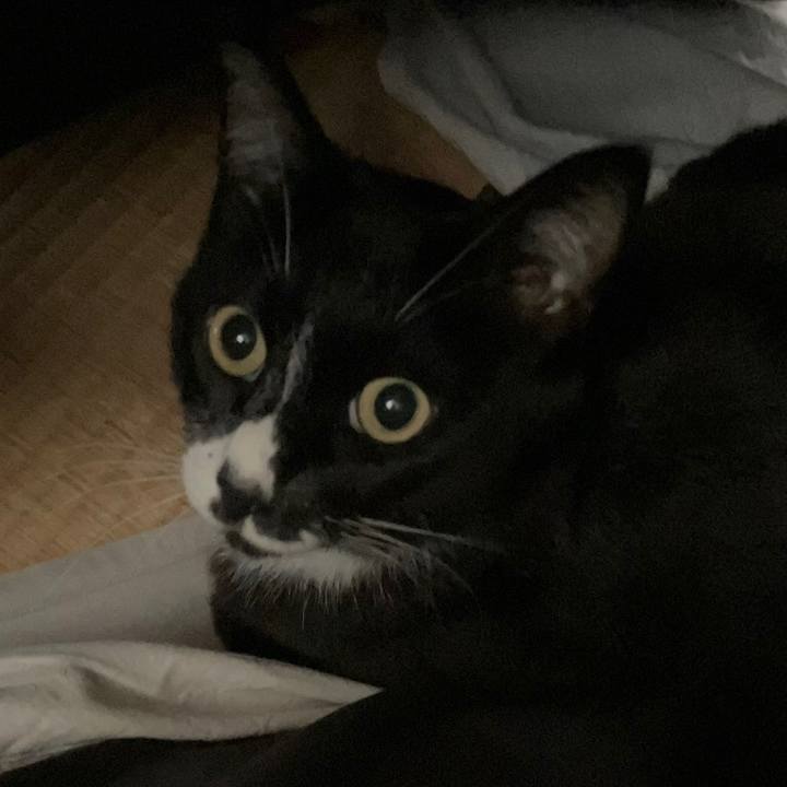 403b8a1b 1bf7 4a77 9897 dcdda958ddf2 1692674639232