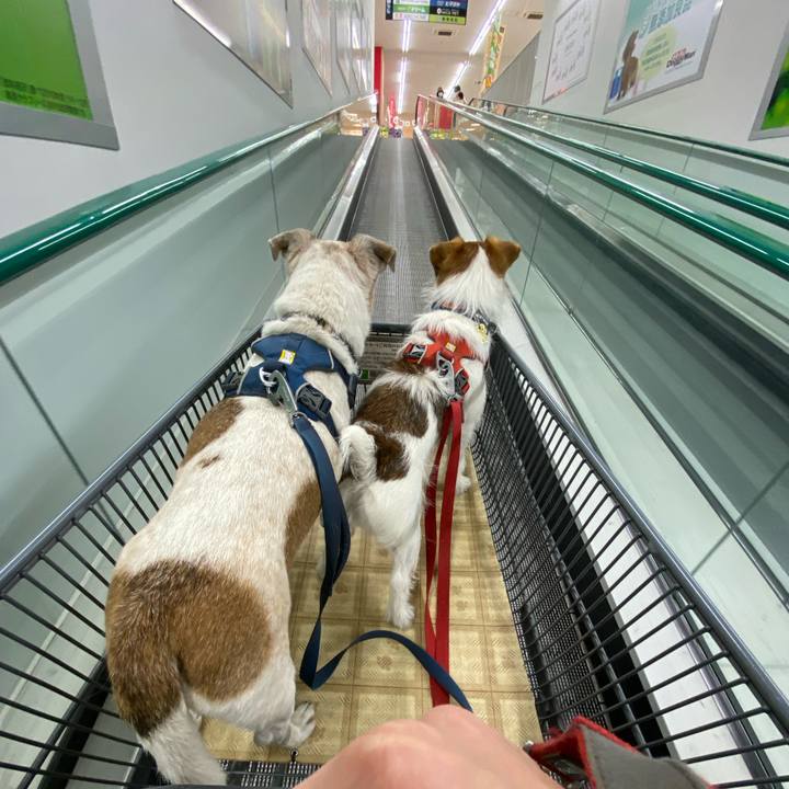 403bea0c 1ac2 48cf b790 d6768543fdd6 1678511807616