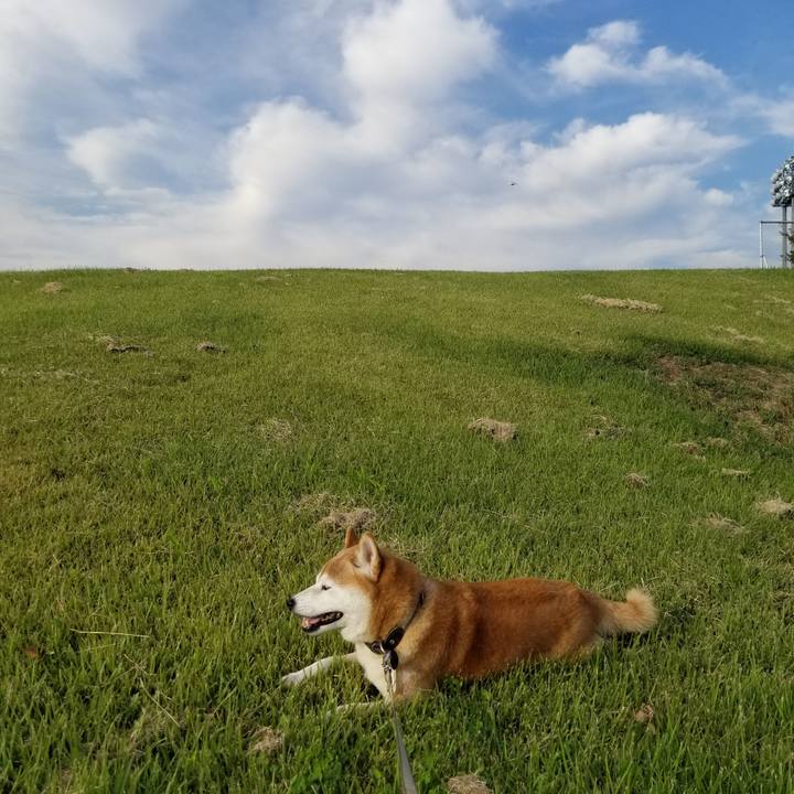 403c361a ac3e 4828 bc11 b182e4246b41 1664865529970