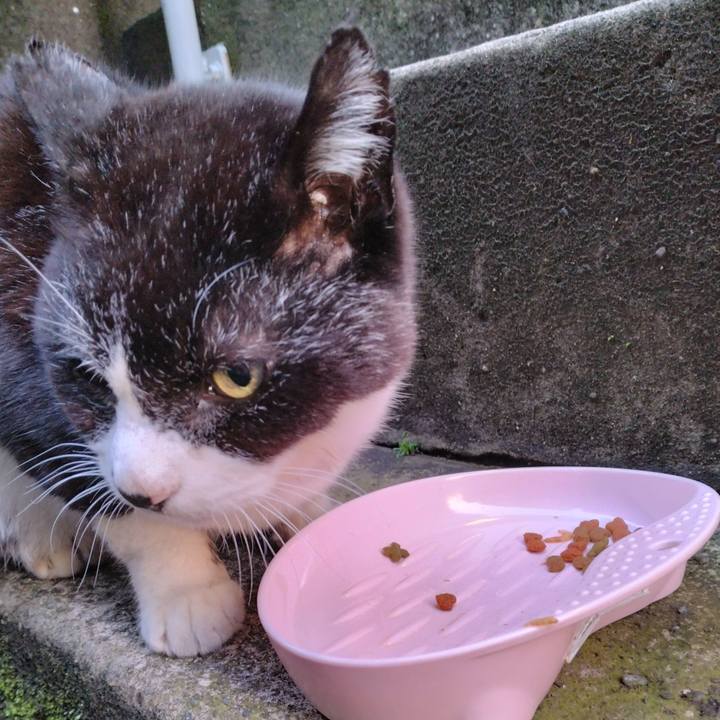 403c4270 04f1 4b10 a226 bf867dcd33b6 1709887525099