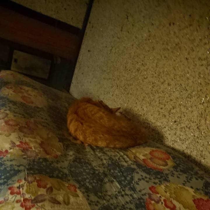 403c8d1d d93f 4198 8ef4 4fe0eb12f063 1600171554207