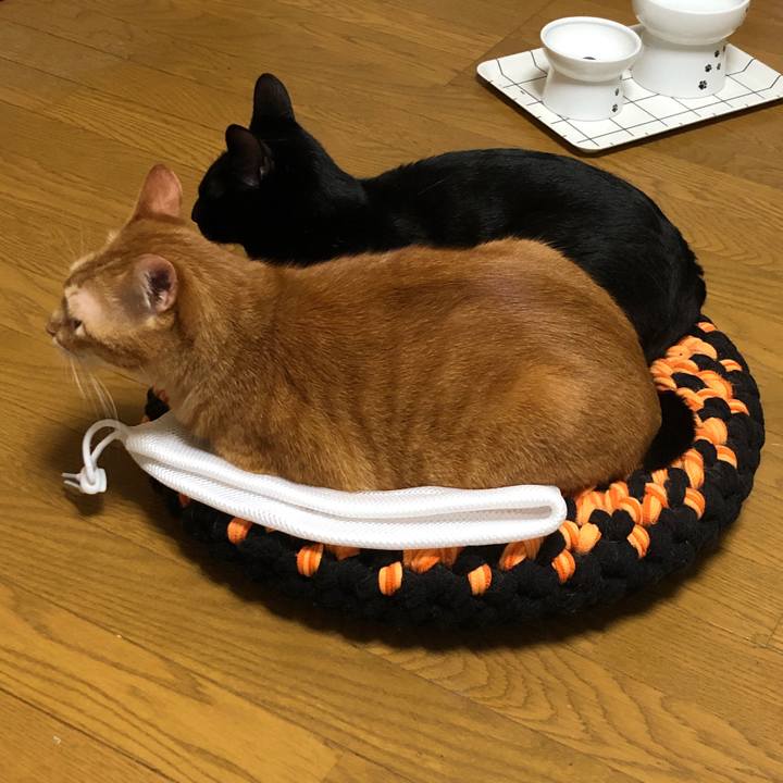 403cac5d 255f 4231 8940 681a3f73a944 1660220479841