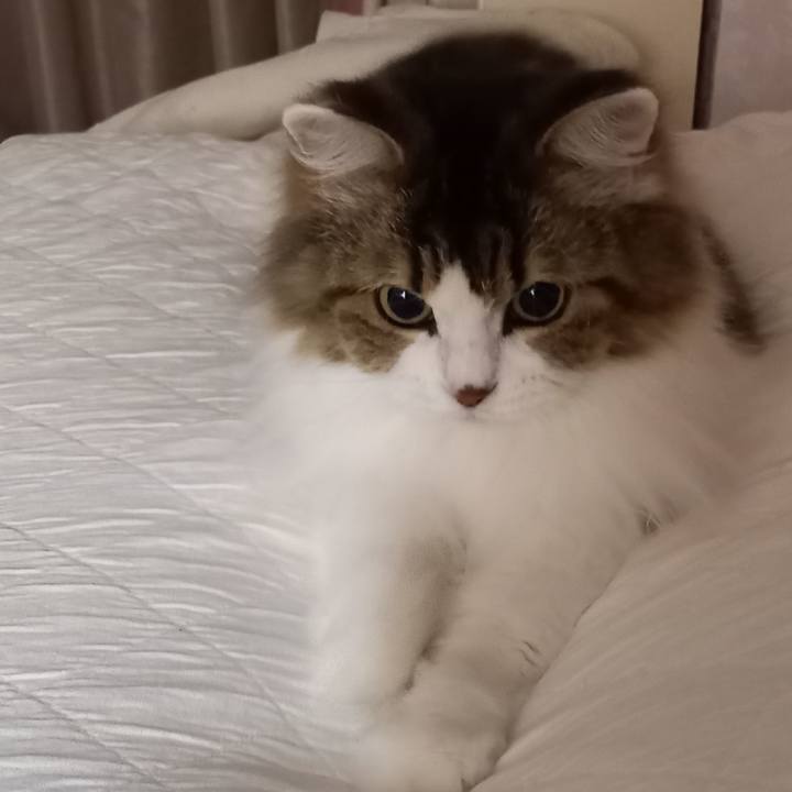 403cc922 7613 4cd4 bc44 b75c46eecefc 1636406812674