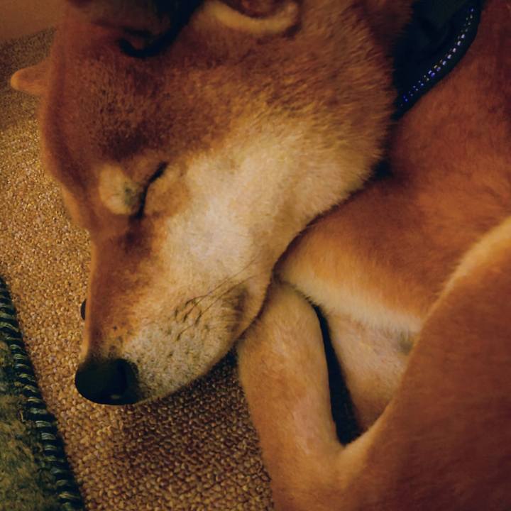 403cce7b 34d5 41e4 9126 ea928de0da0d 1766028907360