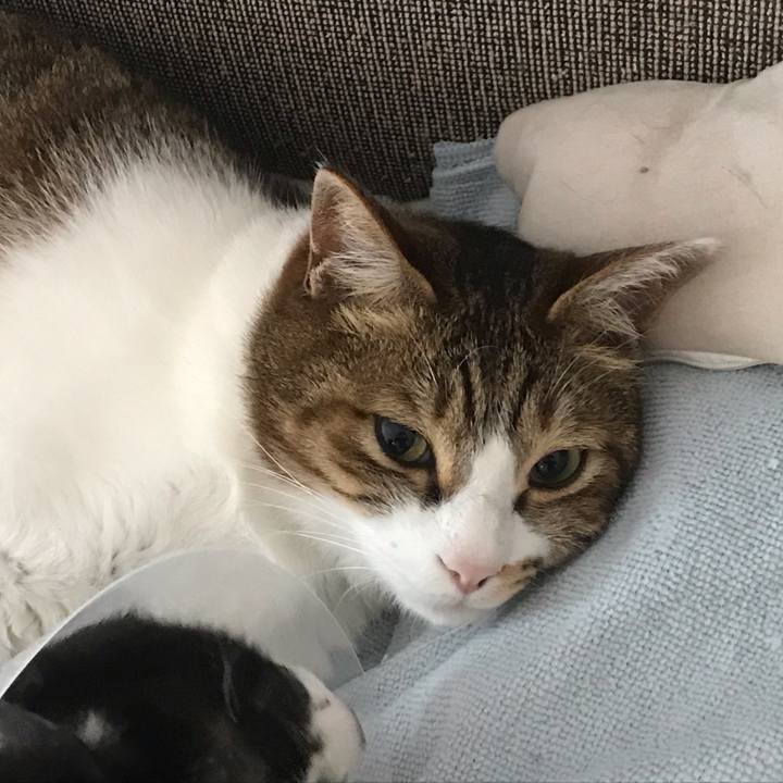 403ce1fe 20da 4d15 8477 2886f4a2d03c 1587440092358