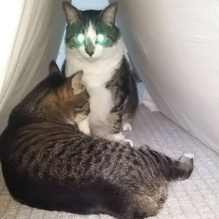 403d1ca2 f347 4cde bf94 e79d3e723fad 1623402825509