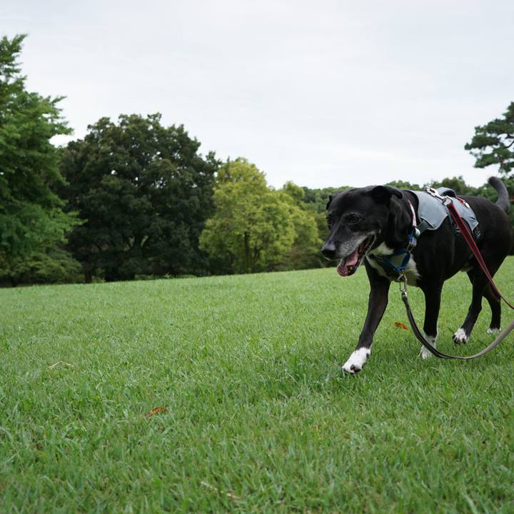 403d5783 5545 43c5 a405 ba87fcc1dd43 1757808453704