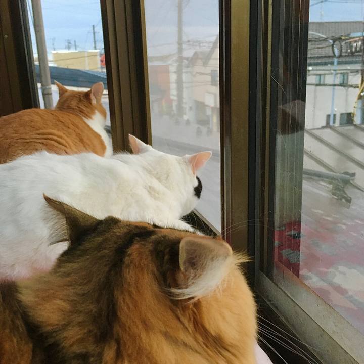 403d6d49 9b73 4b8a beb7 1e460671857f 1605856547032