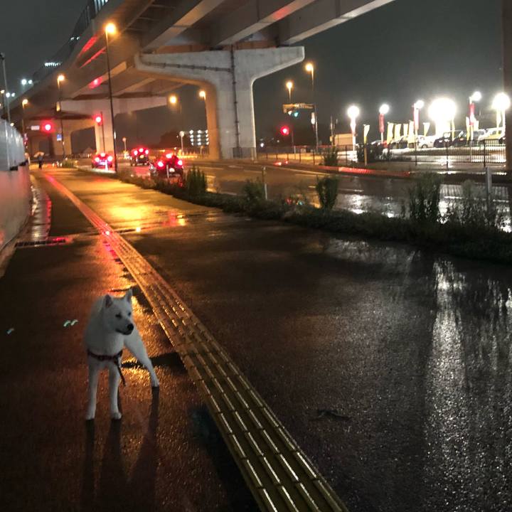 403d7015 18db 4e8f a57d 24b9cf5c5eb3 1528724083962