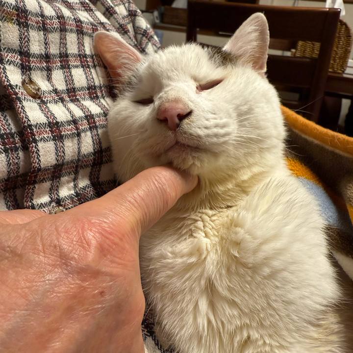 403d7a88 266d 4f55 b56c ebd155303efd 1764764453639