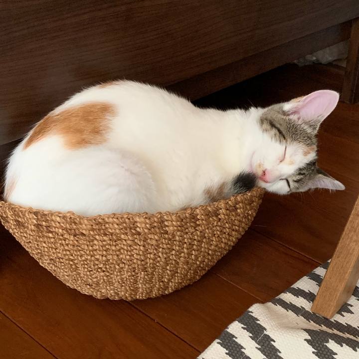 403d7c30 d696 4678 b372 903e696a3090 1596680091103