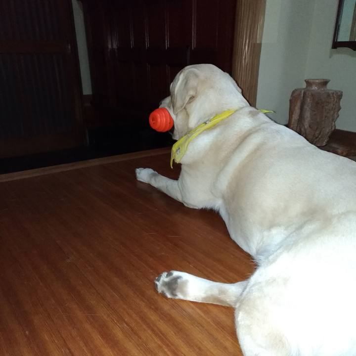 403d826d 0ea6 48f4 a8ff e815023c7c85 1554908192368