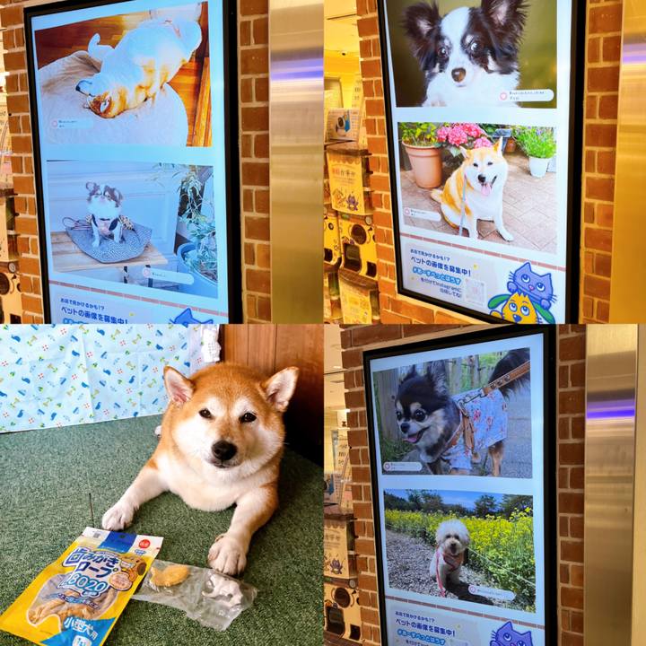 403dc3b0 a3bf 4301 a462 5f4eae4f737d 1658382863778