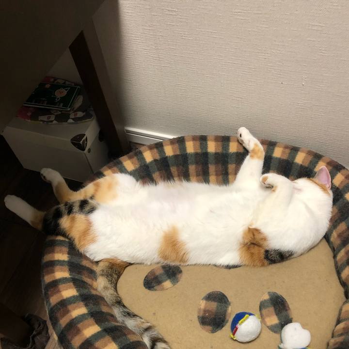 403ddc06 87c0 4b24 afac 3b4c4b547c11 1590926205243