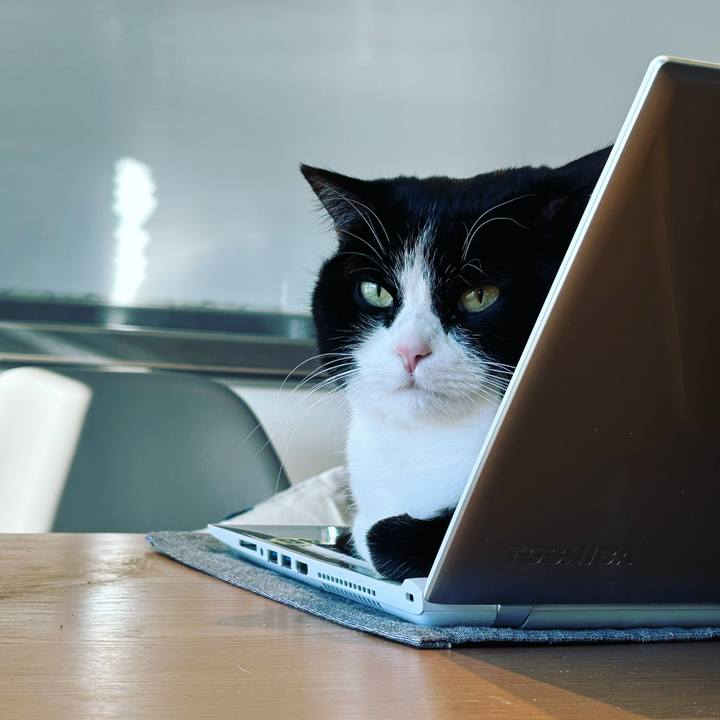 403de24a 9eef 4acf ba51 e779746b1810 1671838316384