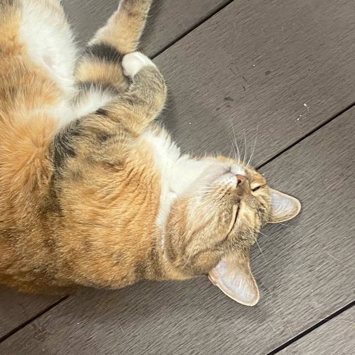 403e0af5 a938 4c42 82be 00747d74fb60 1722292895639