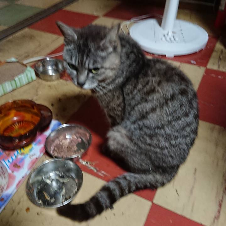 403e0cca 600a 470d 818a 4e3b348d30d9 1562096631991