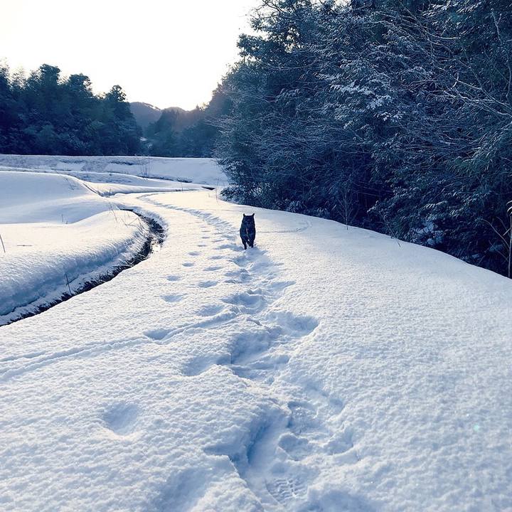 403e2464 de90 40e3 bc97 e9b00d8c086c 1519172637526