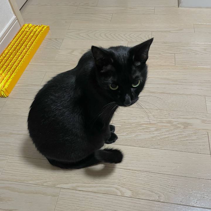 403e39b8 008f 4bb8 bdea 6806b6d58701 1730975162235