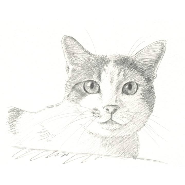 403e43b5 9e2f 4c6a 9e6f e340418ad3bc 1537619439321