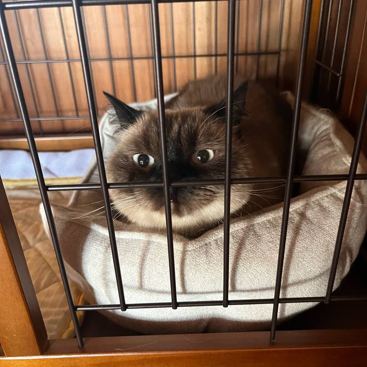 403e83c2 7e12 4472 8d33 3d37ad391abc 1633150203784