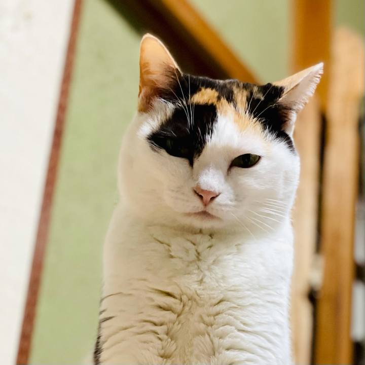 403ec904 5f3b 4914 836b 5123a20207f9 1617243377084