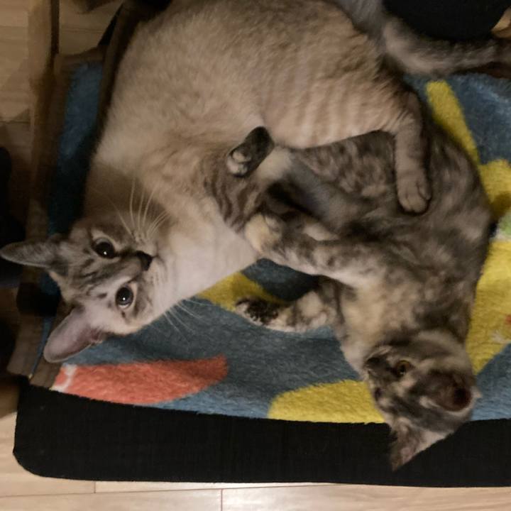 403ee586 6cca 4cc2 b68a aafc3cf8c71f 1697807158768