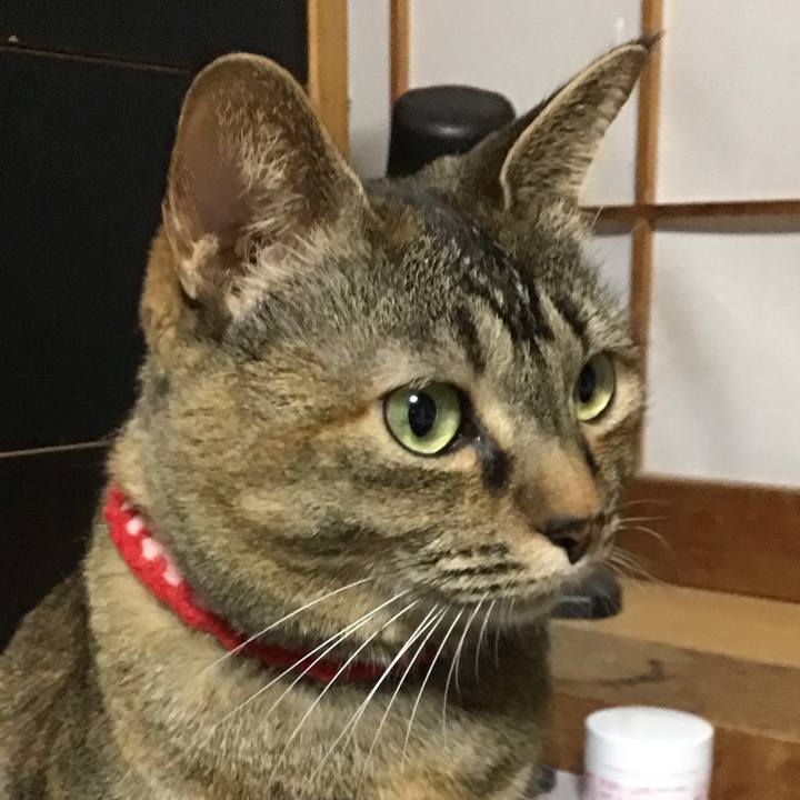 403f0804 2590 4e30 81d9 83993af86a45 1681130471945