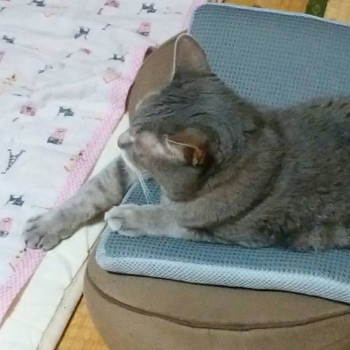 403f1754 6b98 4541 a51c f159149e4a18 1566296408301