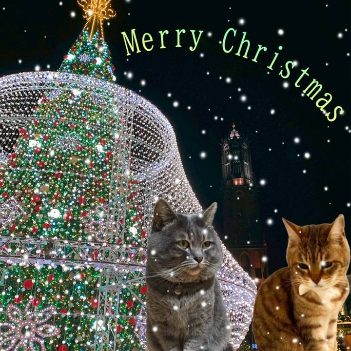 403f3b56 795d 4dfb a22e 7ff5795a78cf 1766545766096