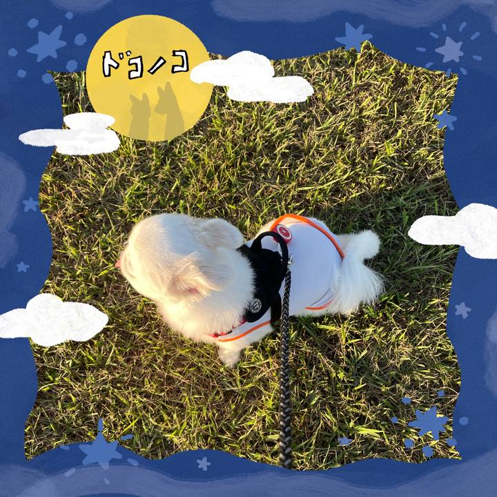 403f3f21 8f96 460e 8827 e84425b28cc9 1727301736715