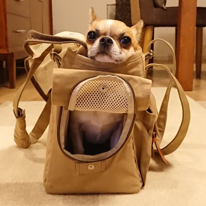 403f4a8b b96f 4416 a40b ae0b4735153c 1562931484478